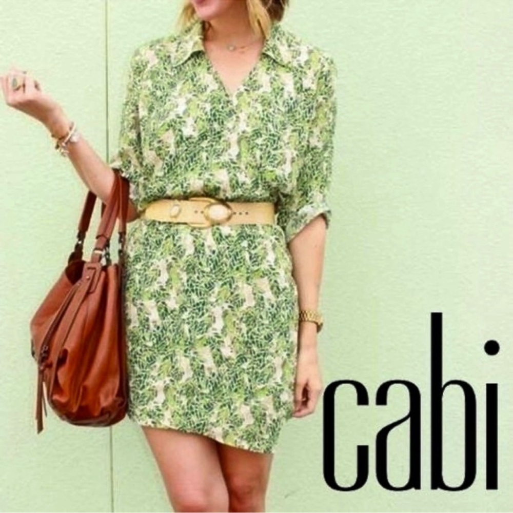 CAbi-  Leafy Green and Cream faux wrap dress. Lightweight material!